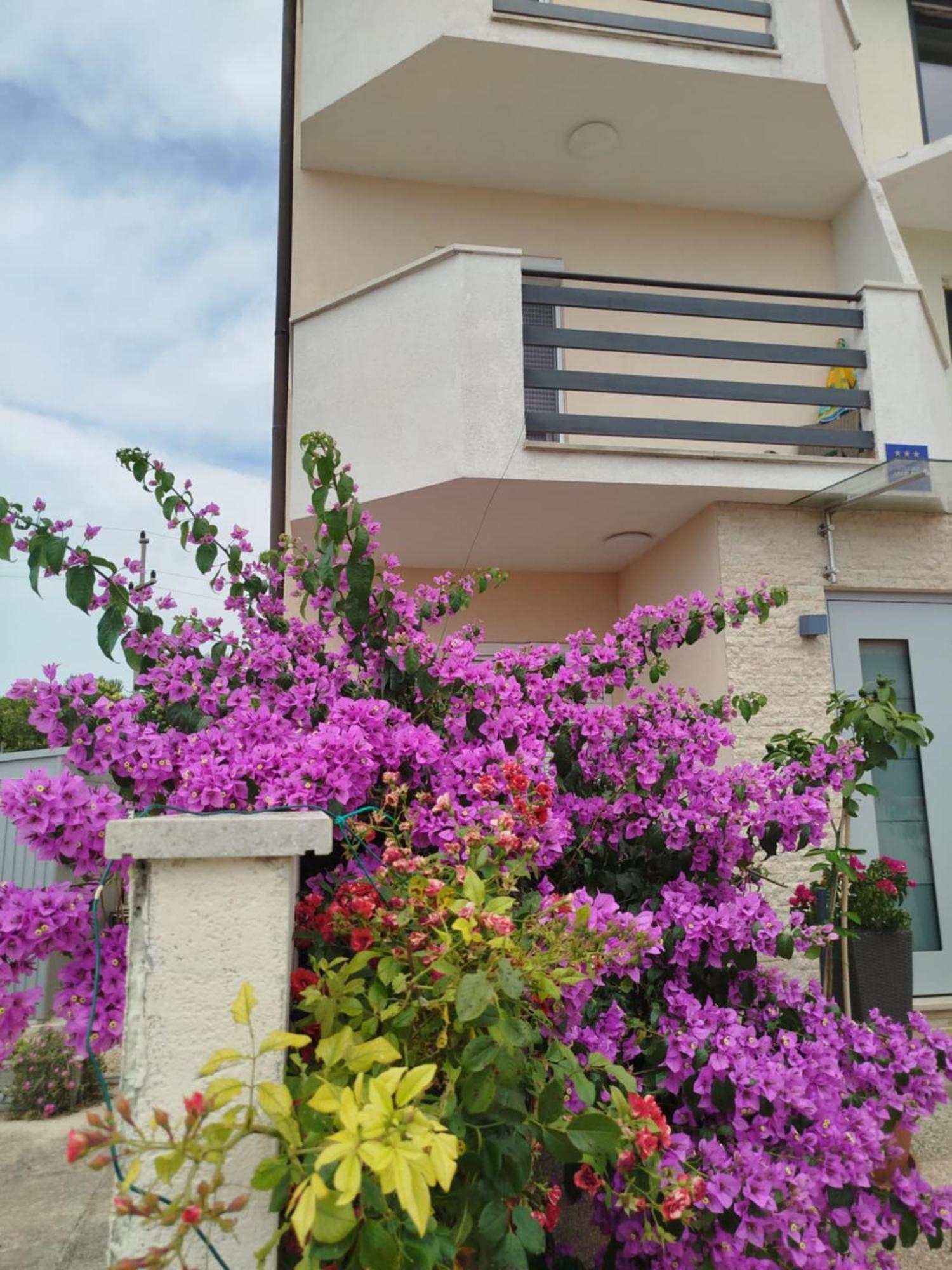 Smokvica Apartment Savudrija Exterior foto